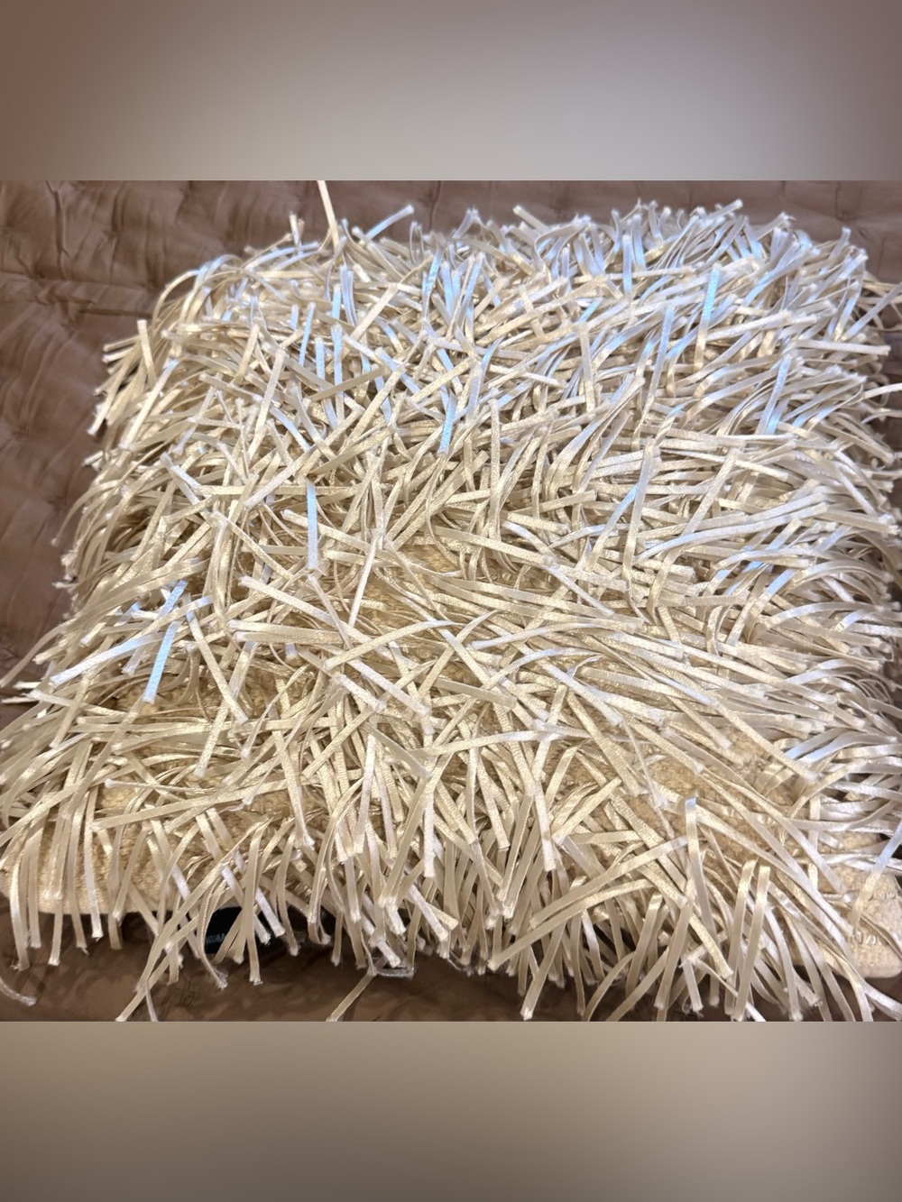 Cynthia Rowley Ivory Shag Throw Pillow Set